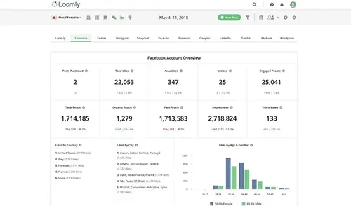 screenshot of loomly analytics dashboard